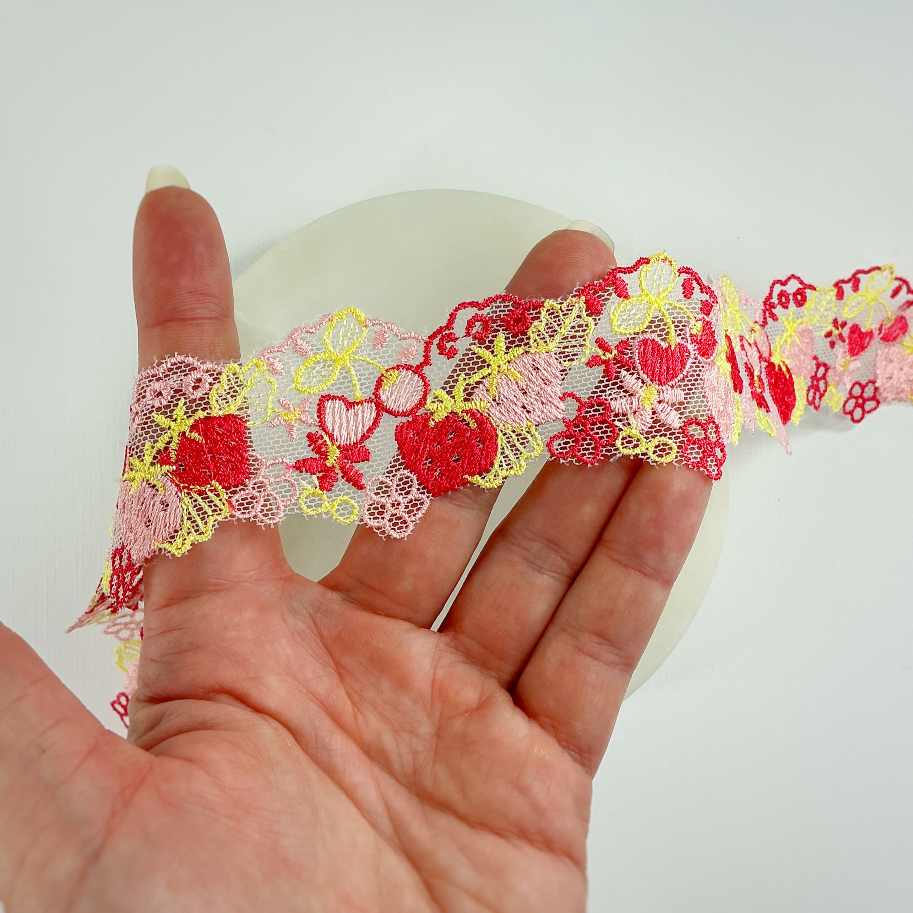 Strawberry & Cherry Mesh Lace Trim