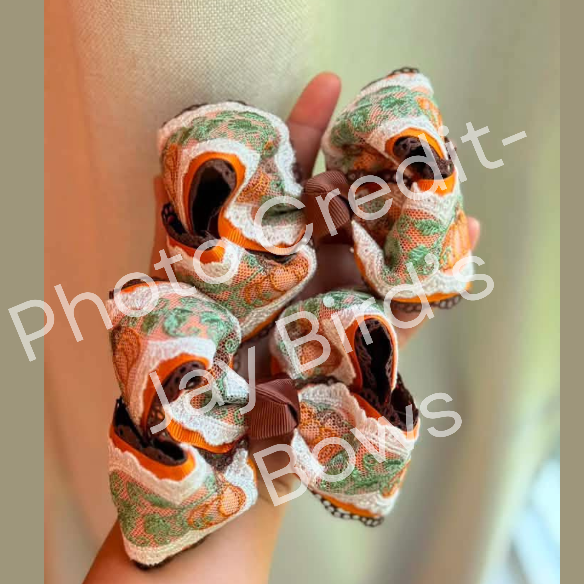 Pumpkin and Vine Silhouette Bow Lace - RTS