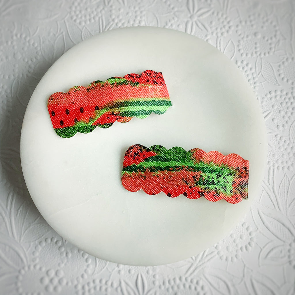 Watermelon Graffiti Snap Clip Duo